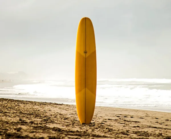 Sri Lanka Beach Surf Board