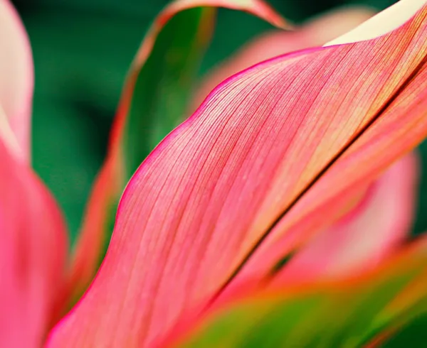 Botanical Gardens in Sri Lanka