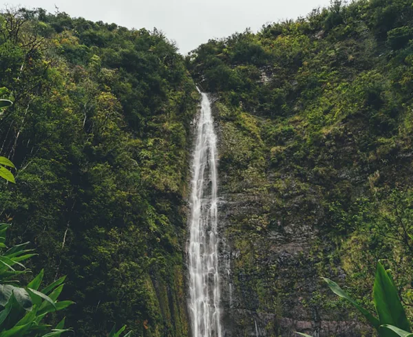 Sri Lankan Waterfalls