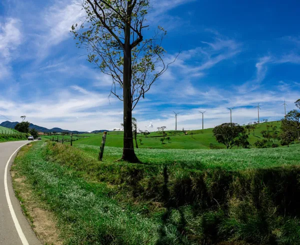 Ambewala Farms, Nuwara Eliya, Sri Lanka