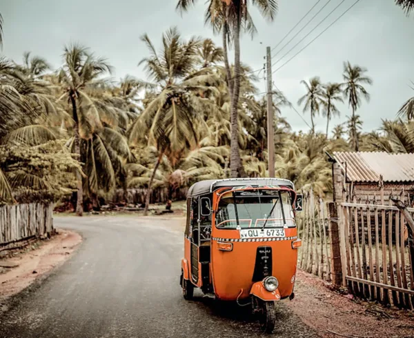 TukTuk Retntal in Sri Lanka